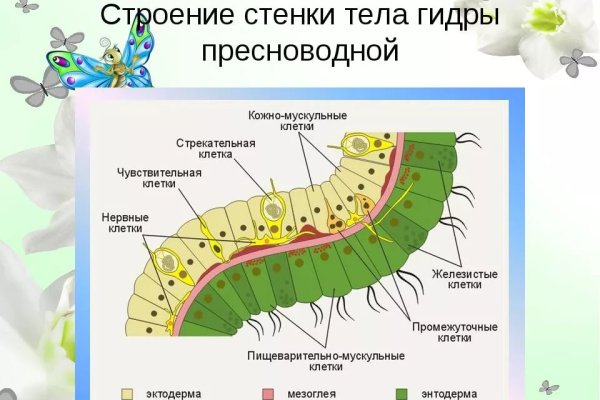 Кракен через тор браузер