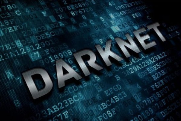 Кракен тор krakendark krakendark link