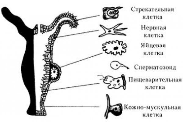 Kra34.cc
