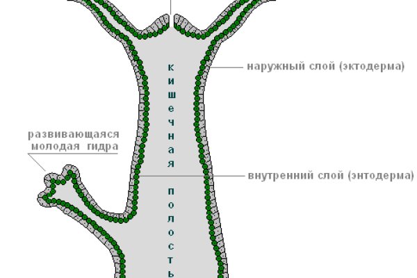 Kra43.cc