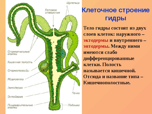 Kra49.cc Вход на сайт главная страница