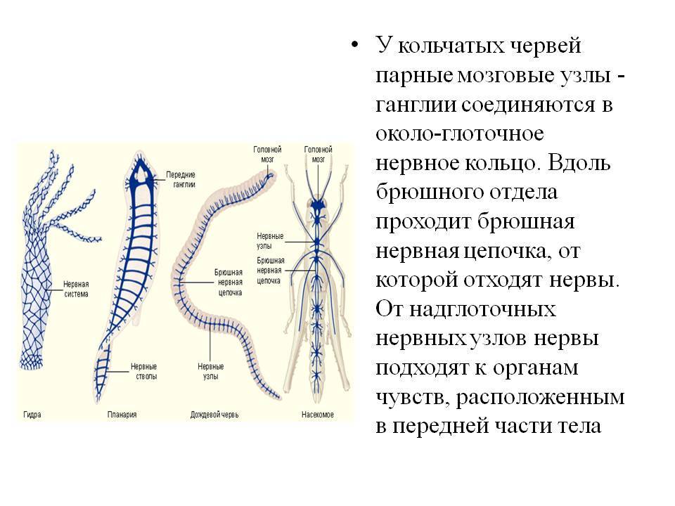 Кракен сайт 1kraken me