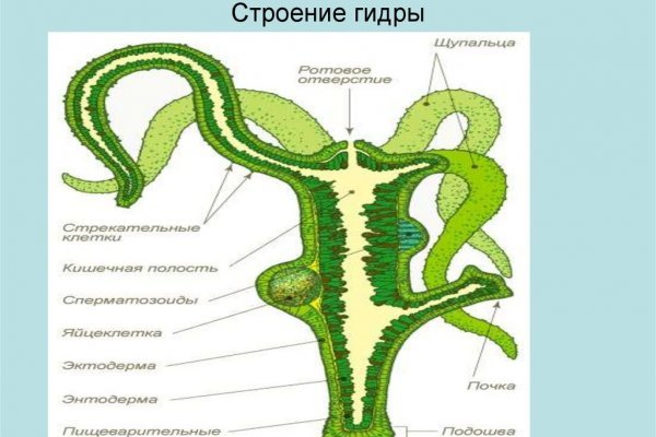 Покупки на кракене даркнет